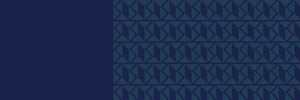 Saville-Assessment-Banners-5